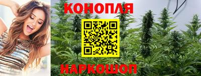 стаф Кимры