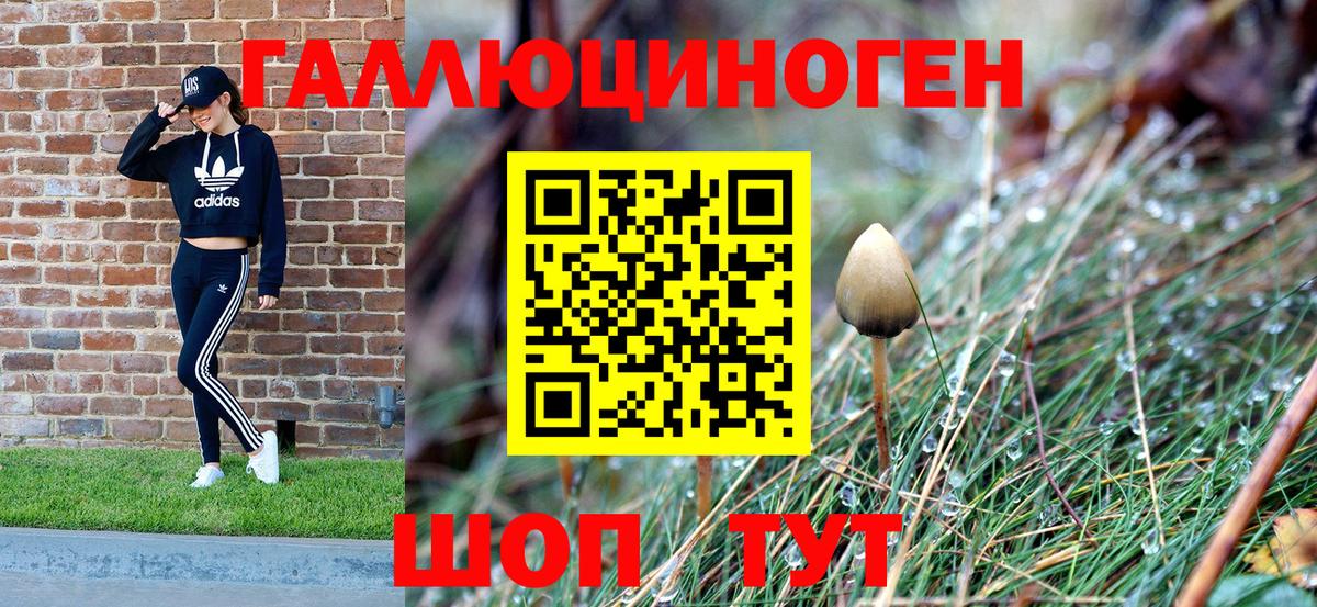 Галлюциногенные грибы MAGIC MUSHROOMS  Вход с VPN  Псилоцибиновые грибы Psilocybe  Кумертау 